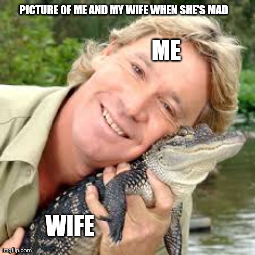 Angry  little wife | PICTURE OF ME AND MY WIFE WHEN SHE'S MAD; ME; WIFE | image tagged in wife | made w/ Imgflip meme maker