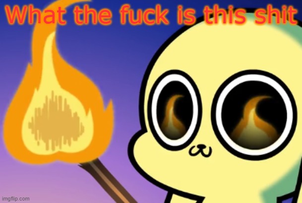 chikn looking at a burning marshmellow | What the fuck is this shit | image tagged in chikn looking at a burning marshmellow | made w/ Imgflip meme maker