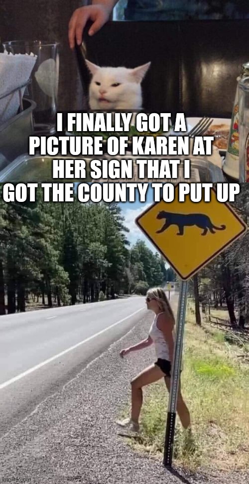 I FINALLY GOT A PICTURE OF KAREN AT HER SIGN THAT I GOT THE COUNTY TO PUT UP | image tagged in salad cat | made w/ Imgflip meme maker