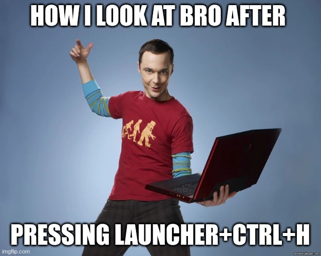 aaaaaaand bazinga ahh pose???? | HOW I LOOK AT BRO AFTER; PRESSING LAUNCHER+CTRL+H | image tagged in sheldon cooper laptop | made w/ Imgflip meme maker