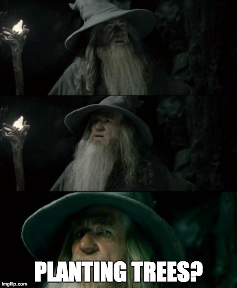 Confused Gandalf Meme | PLANTING TREES? | image tagged in memes,confused gandalf,AdviceAnimals | made w/ Imgflip meme maker