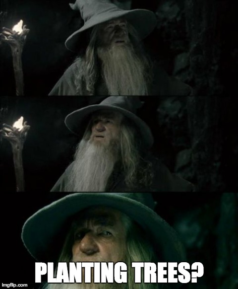 Confused Gandalf | PLANTING TREES? | image tagged in memes,confused gandalf,AdviceAnimals | made w/ Imgflip meme maker