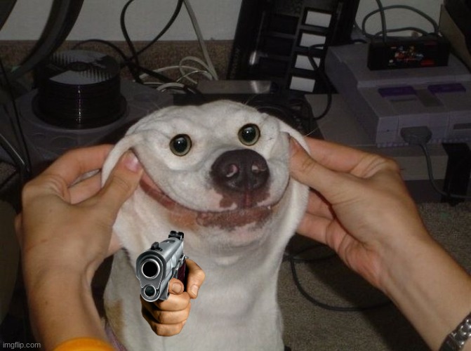 ima shoot if u does not stop it | image tagged in forced to smile dog | made w/ Imgflip meme maker