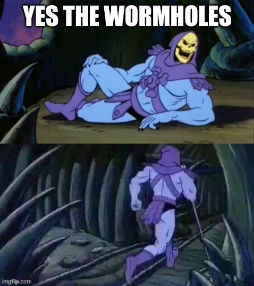 Skeletor disturbing facts | YES THE WORMHOLES | image tagged in skeletor disturbing facts | made w/ Imgflip meme maker