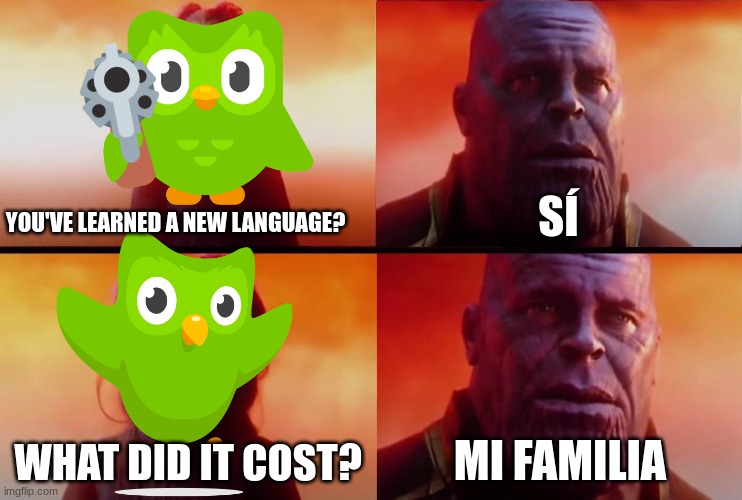 thanos what did it cost | YOU'VE LEARNED A NEW LANGUAGE? SÍ; WHAT DID IT COST? MI FAMILIA | image tagged in thanos what did it cost,duolingo,memes,funny | made w/ Imgflip meme maker