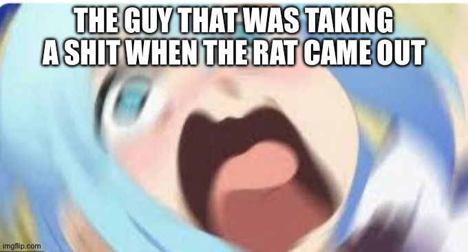 THE GUY THAT WAS TAKING A SHIT WHEN THE RAT CAME OUT | made w/ Imgflip meme maker