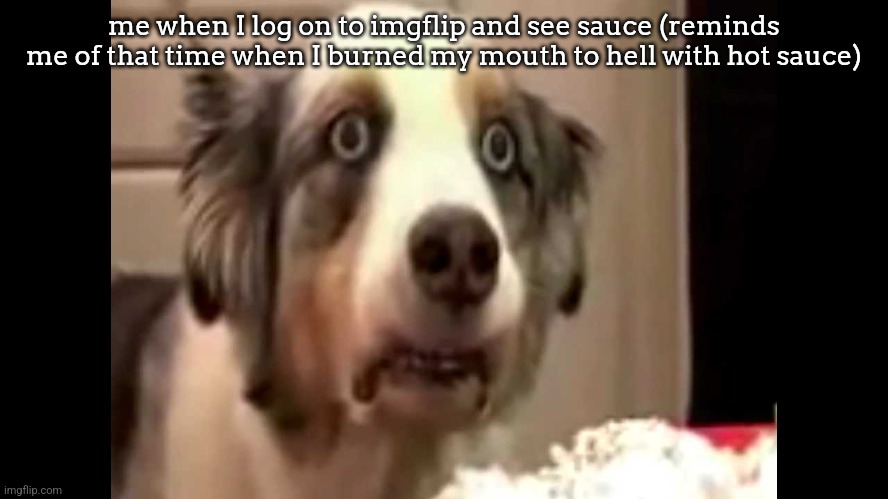 idk why but the man in this photo looks kinda weird | me when I log on to imgflip and see sauce (reminds me of that time when I burned my mouth to hell with hot sauce) | image tagged in vietnam flashback dog | made w/ Imgflip meme maker