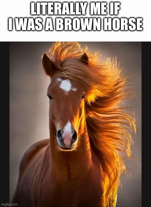 Horse | LITERALLY ME IF I WAS A BROWN HORSE | image tagged in horse | made w/ Imgflip meme maker
