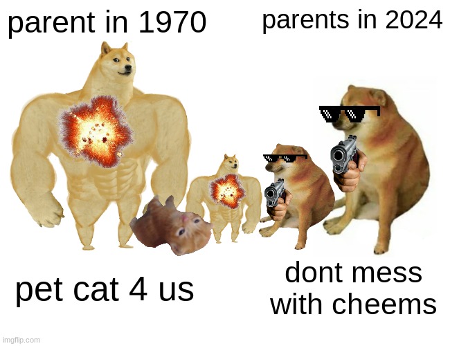 Buff Doge vs. Cheems | parent in 1970; parents in 2024; pet cat 4 us; dont mess with cheems | image tagged in memes,buff doge vs cheems | made w/ Imgflip meme maker