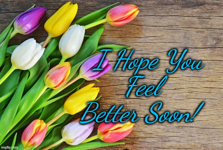 Get Well Soon | Feel Better Soon! I Hope You | image tagged in flowers tulips,get well,feel better | made w/ Imgflip meme maker