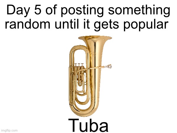 Tuba | Day 5 of posting something random until it gets popular; Tuba | image tagged in tuba | made w/ Imgflip meme maker