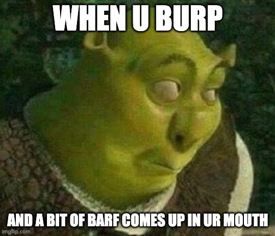 Oops shrek | WHEN U BURP; AND A BIT OF BARF COMES UP IN UR MOUTH | image tagged in oops shrek | made w/ Imgflip meme maker