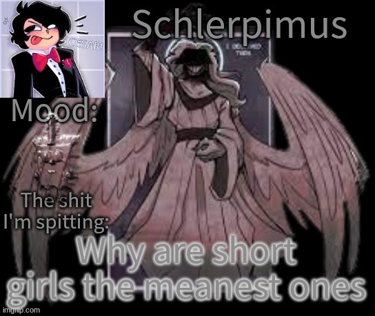 Schlerpimus Announcement Temp | Why are short girls the meanest ones | image tagged in schlerpimus announcement temp | made w/ Imgflip meme maker