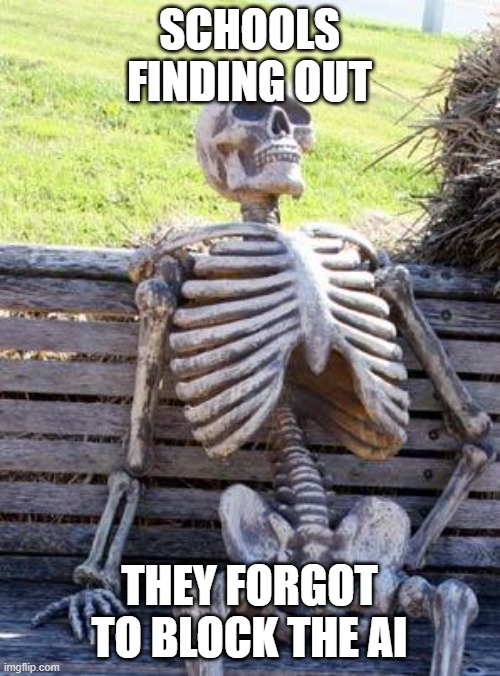 Waiting Skeleton Meme | SCHOOLS FINDING OUT THEY FORGOT TO BLOCK THE AI | image tagged in memes,waiting skeleton | made w/ Imgflip meme maker
