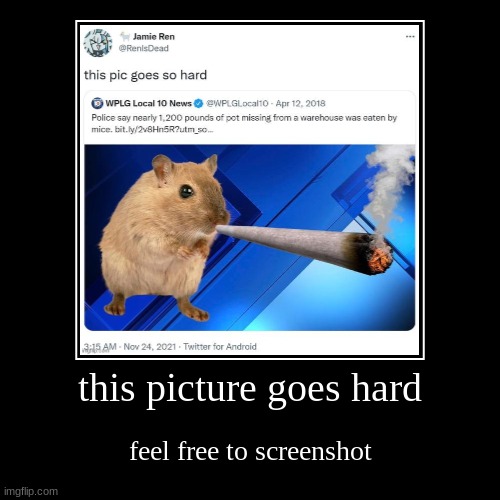 feel free to screenshot | this picture goes hard | feel free to screenshot | image tagged in funny,demotivationals | made w/ Imgflip demotivational maker