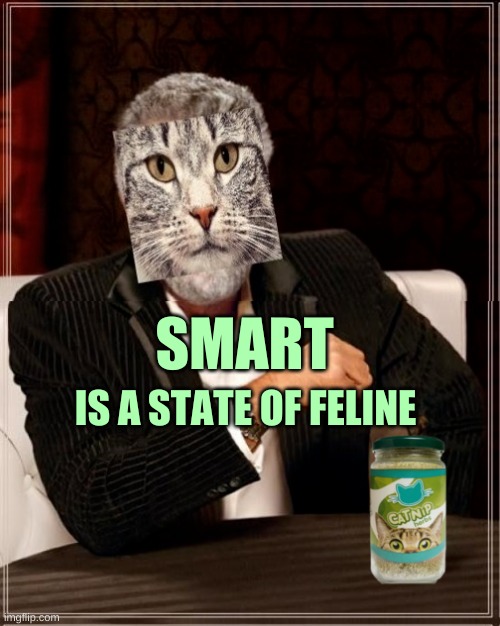 IS A STATE OF FELINE; SMART | image tagged in bad photoshop,the most interesting man in the world,the most interesting cat in the world,cat,smart | made w/ Imgflip meme maker