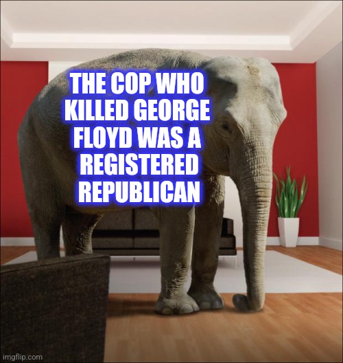 Elephant In The Room | THE COP WHO 
KILLED GEORGE 
FLOYD WAS A 
REGISTERED
REPUBLICAN | image tagged in elephant in the room | made w/ Imgflip meme maker
