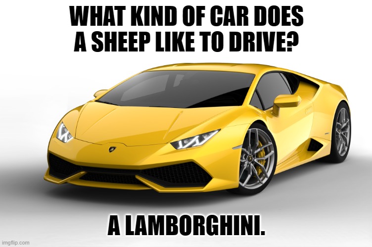 Daily Bad Dad Joke February 26, 2024 | WHAT KIND OF CAR DOES A SHEEP LIKE TO DRIVE? A LAMBORGHINI. | image tagged in lamborghini | made w/ Imgflip meme maker