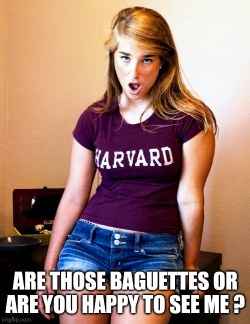 What the Fuque ? | ARE THOSE BAGUETTES OR ARE YOU HAPPY TO SEE ME ? | image tagged in what the fuque | made w/ Imgflip meme maker