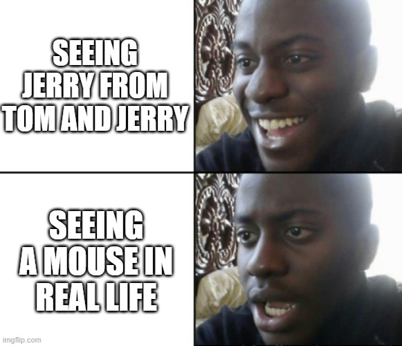 Happy / Shock | SEEING JERRY FROM TOM AND JERRY; SEEING A MOUSE IN REAL LIFE | image tagged in happy / shock,mouse,tom and jerry,tom and jerry meme,reality | made w/ Imgflip meme maker