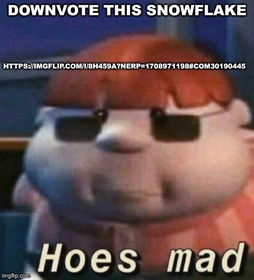 bro is mad | HTTPS://IMGFLIP.COM/I/8H459A?NERP=1708971198#COM30190445; DOWNVOTE THIS SNOWFLAKE | image tagged in hoes mad | made w/ Imgflip meme maker