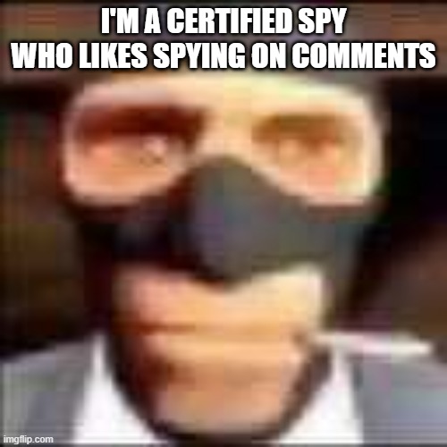 I'm not wrong. | I'M A CERTIFIED SPY WHO LIKES SPYING ON COMMENTS | image tagged in spi | made w/ Imgflip meme maker