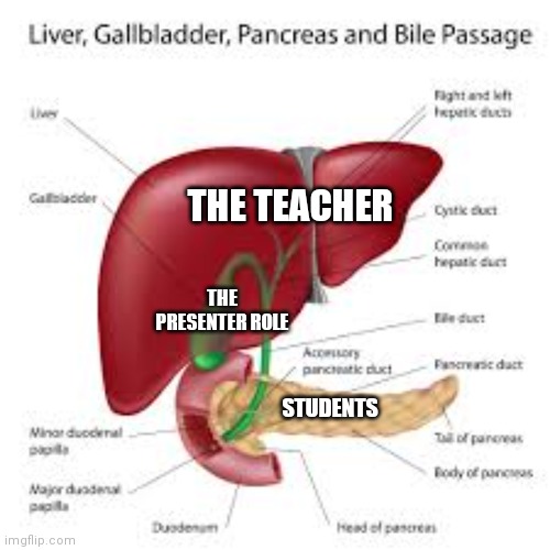 liver, gallbladder and pancreas | THE TEACHER; THE PRESENTER ROLE; STUDENTS | image tagged in liver gallbladder and pancreas | made w/ Imgflip meme maker