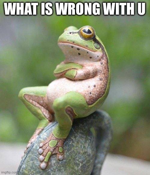 nah frog | WHAT IS WRONG WITH U | image tagged in nah frog | made w/ Imgflip meme maker