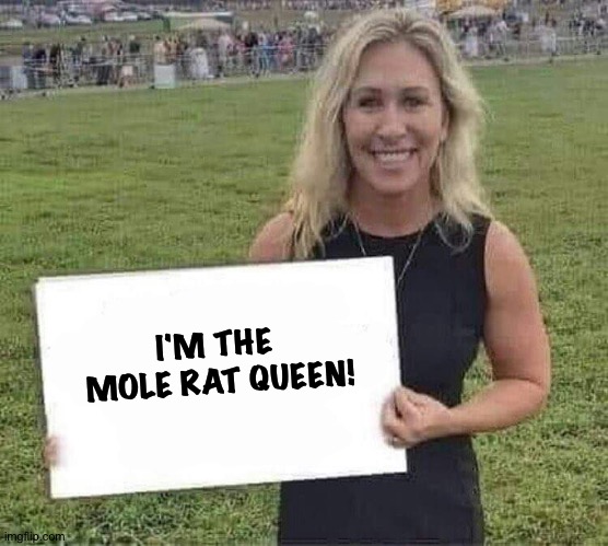 marjorie taylor greene | I'M THE 
MOLE RAT QUEEN! | image tagged in marjorie taylor greene | made w/ Imgflip meme maker
