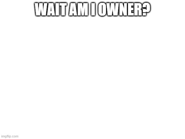 what | WAIT AM I OWNER? | image tagged in what | made w/ Imgflip meme maker