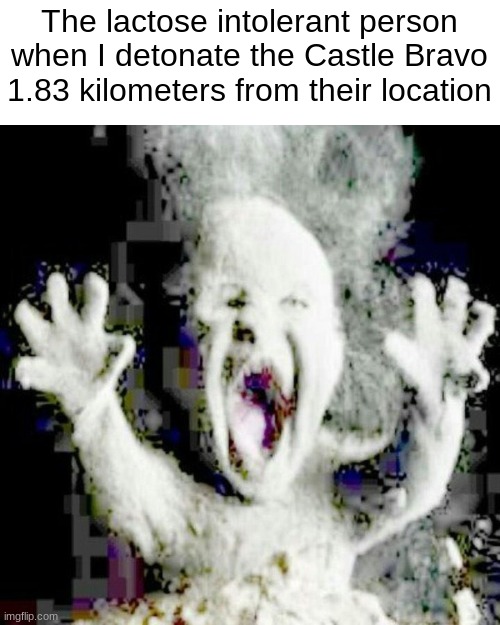 The Castle Bravo is the largest nuclear bomb the US has ever tested, for those who don't know | The lactose intolerant person when I detonate the Castle Bravo 1.83 kilometers from their location | image tagged in low quality ash baby | made w/ Imgflip meme maker