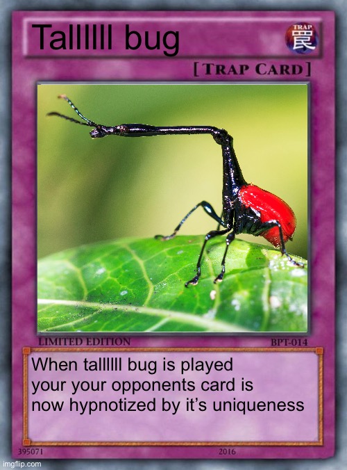 trap card | Tallllll bug; When tallllll bug is played your your opponents card is now hypnotized by it’s uniqueness | image tagged in trap card | made w/ Imgflip meme maker