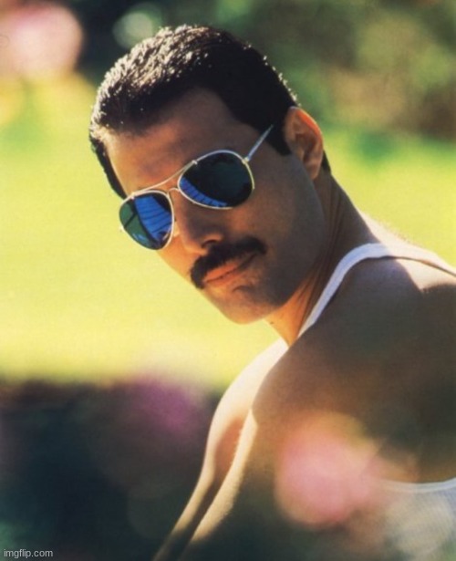 Freddie Mercury Mr. Bad Guy | image tagged in freddie mercury mr bad guy | made w/ Imgflip meme maker