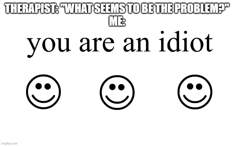 You Are An Idiot!! | THERAPIST: "WHAT SEEMS TO BE THE PROBLEM?"
ME: | image tagged in you are an idiot | made w/ Imgflip meme maker