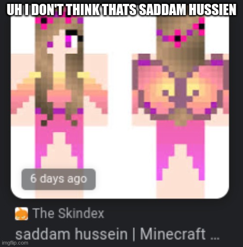 UH I DON'T THINK THATS SADDAM HUSSIEN | image tagged in funny memes | made w/ Imgflip meme maker