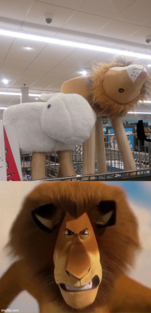 Upside down lion | image tagged in angry alex,lion,upside down,you had one job,store,memes | made w/ Imgflip meme maker
