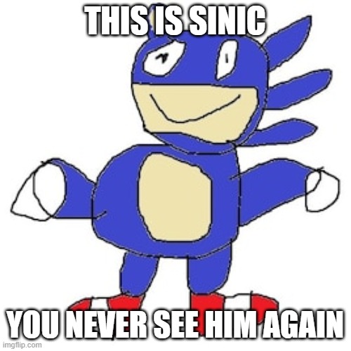 sinic | THIS IS SINIC YOU NEVER SEE HIM AGAIN | image tagged in sinic | made w/ Imgflip meme maker