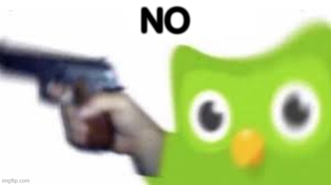 Duolingo gun | NO | image tagged in duolingo gun | made w/ Imgflip meme maker