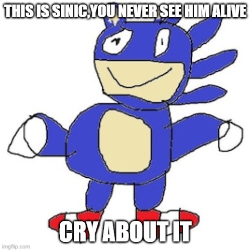 sinic | THIS IS SINIC,YOU NEVER SEE HIM ALIVE CRY ABOUT IT | image tagged in sinic | made w/ Imgflip meme maker