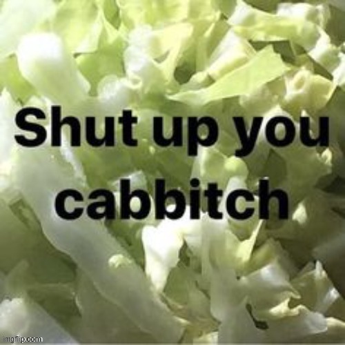 Shut up you cabbitch | image tagged in shut up you cabbitch | made w/ Imgflip meme maker