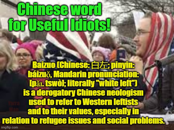 Chinese words for Useful Idiots | Chinese word for Useful Idiots! Baizuo (Chinese: 白左; pinyin: báizuǒ, Mandarin pronunciation: [pǎɪ. tswò]; literally "white left") is a derogatory Chinese neologism used to refer to Western leftists and to their values, especially in relation to refugee issues and social problems. Yarra Man | image tagged in womens march,leftists,liberals,labor,democrats,self gratification by proxy | made w/ Imgflip meme maker