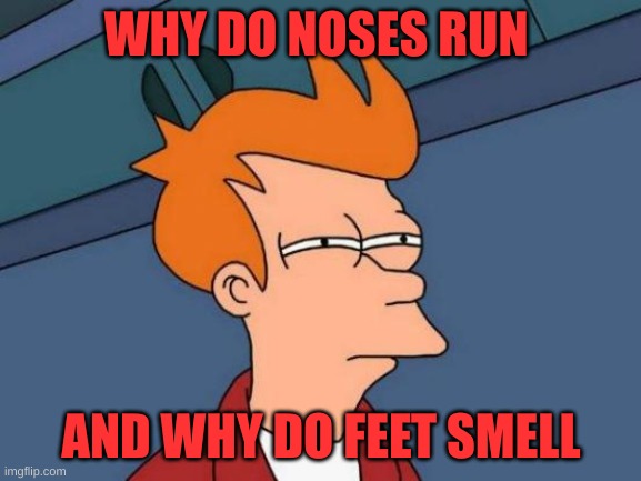 think about it | WHY DO NOSES RUN; AND WHY DO FEET SMELL | image tagged in memes,futurama fry,think about it | made w/ Imgflip meme maker