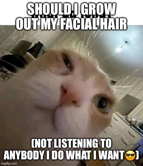 What da tuna? | SHOULD I GROW OUT MY FACIAL HAIR; (NOT LISTENING TO ANYBODY I DO WHAT I WANT😎) | image tagged in what da tuna | made w/ Imgflip meme maker