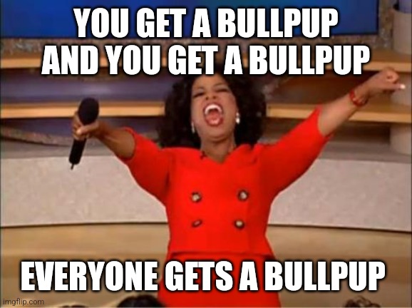 Bullpup for all | YOU GET A BULLPUP
AND YOU GET A BULLPUP; EVERYONE GETS A BULLPUP | image tagged in oparah | made w/ Imgflip meme maker