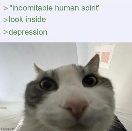 Cat looks inside | "indomitable human spirit"; look inside; depression | image tagged in cat looks inside | made w/ Imgflip meme maker