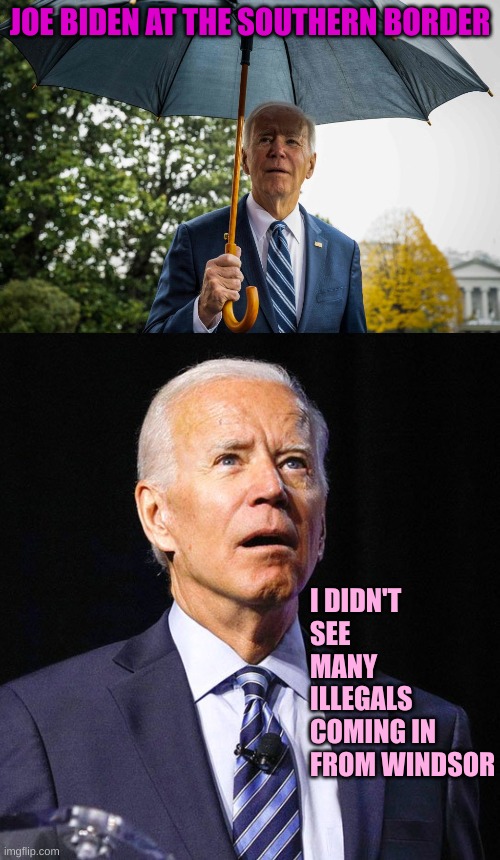 He turned the wrong way | JOE BIDEN AT THE SOUTHERN BORDER; I DIDN'T SEE MANY ILLEGALS COMING IN FROM WINDSOR | image tagged in joe biden | made w/ Imgflip meme maker
