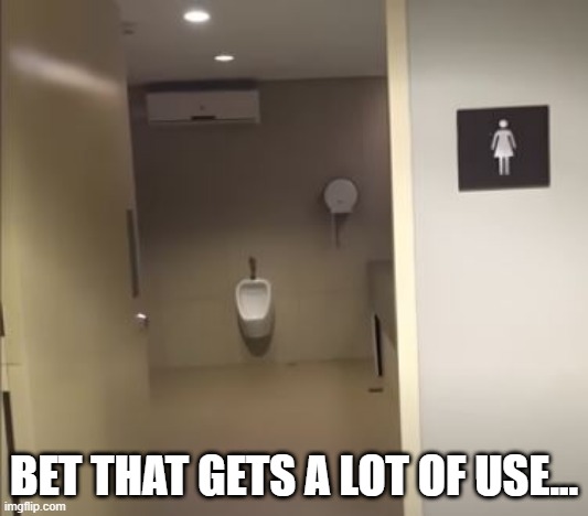 The Women's Urinal | BET THAT GETS A LOT OF USE... | image tagged in you had one job | made w/ Imgflip meme maker