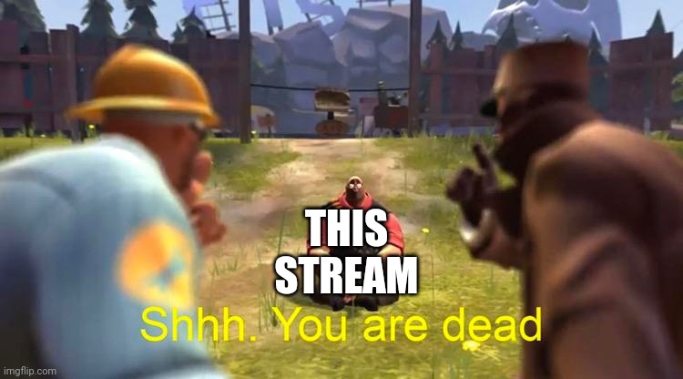 Shhh. You are dead! | THIS STREAM | image tagged in shhh you are dead | made w/ Imgflip meme maker