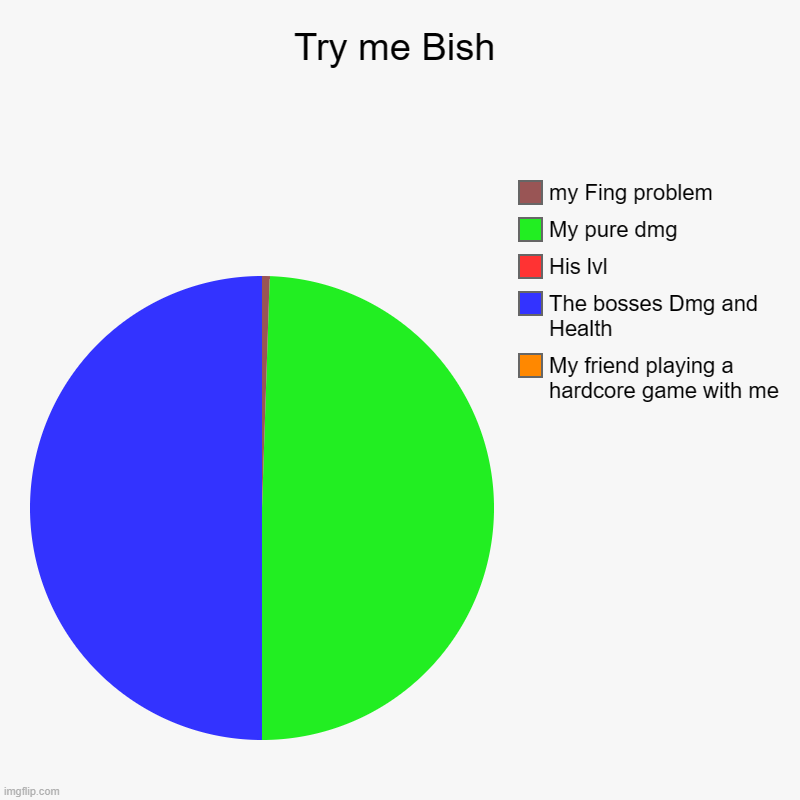 Try me Bish | My friend playing a hardcore game with me, The bosses Dmg and Health, His lvl, My pure dmg, my Fing problem | image tagged in charts,pie charts | made w/ Imgflip chart maker