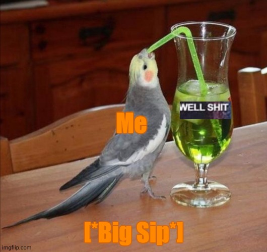 Bird drinking green juice | Me [*Big Sip*] | image tagged in bird drinking green juice | made w/ Imgflip meme maker